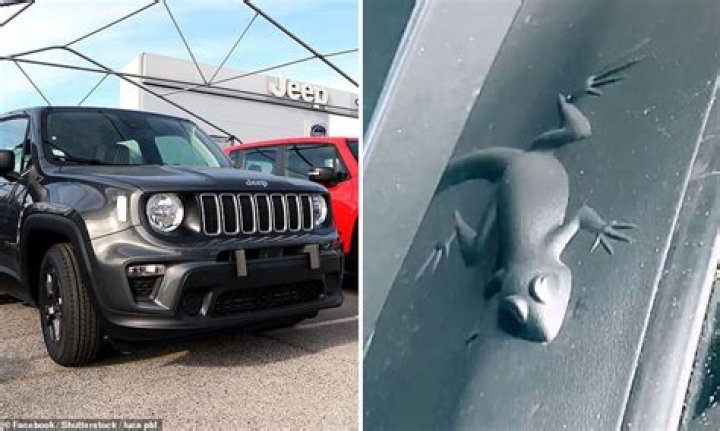 Jeep owners are finding hidden shapes and Easter eggs on their cars