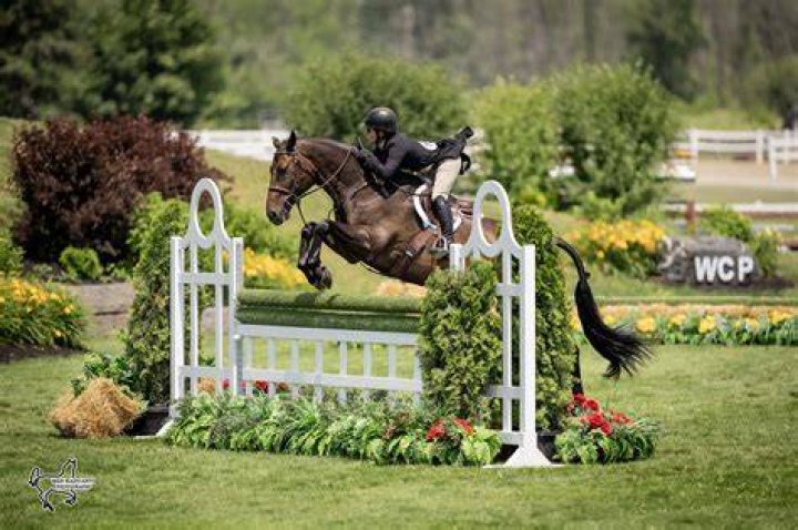 Jennifer Ward Starting Gate Communications Inc